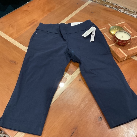 Christopher and Banks Signature Slimming crop pants 6 petite navy blue - Picture 1 of 4